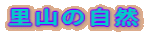 ���R�̎��R