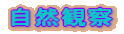 ���R�ώ@ 